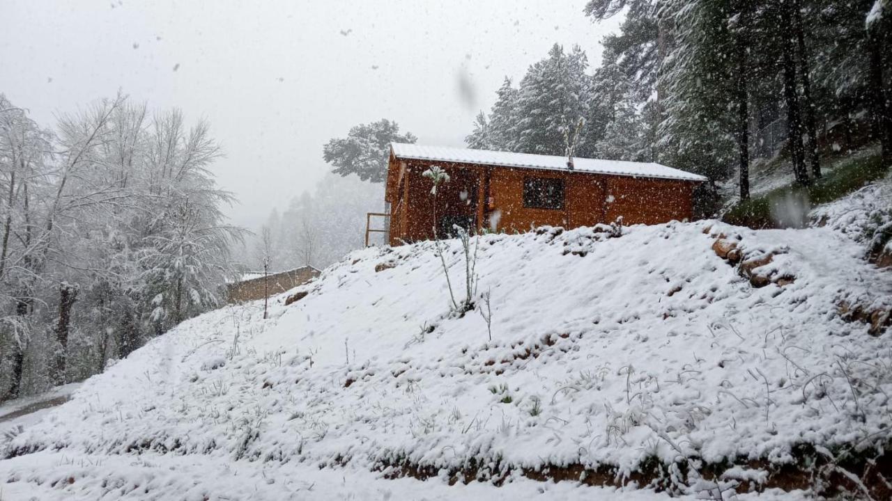 Cabana Garrote Gordo Segura de la Sierra Εξωτερικό φωτογραφία
