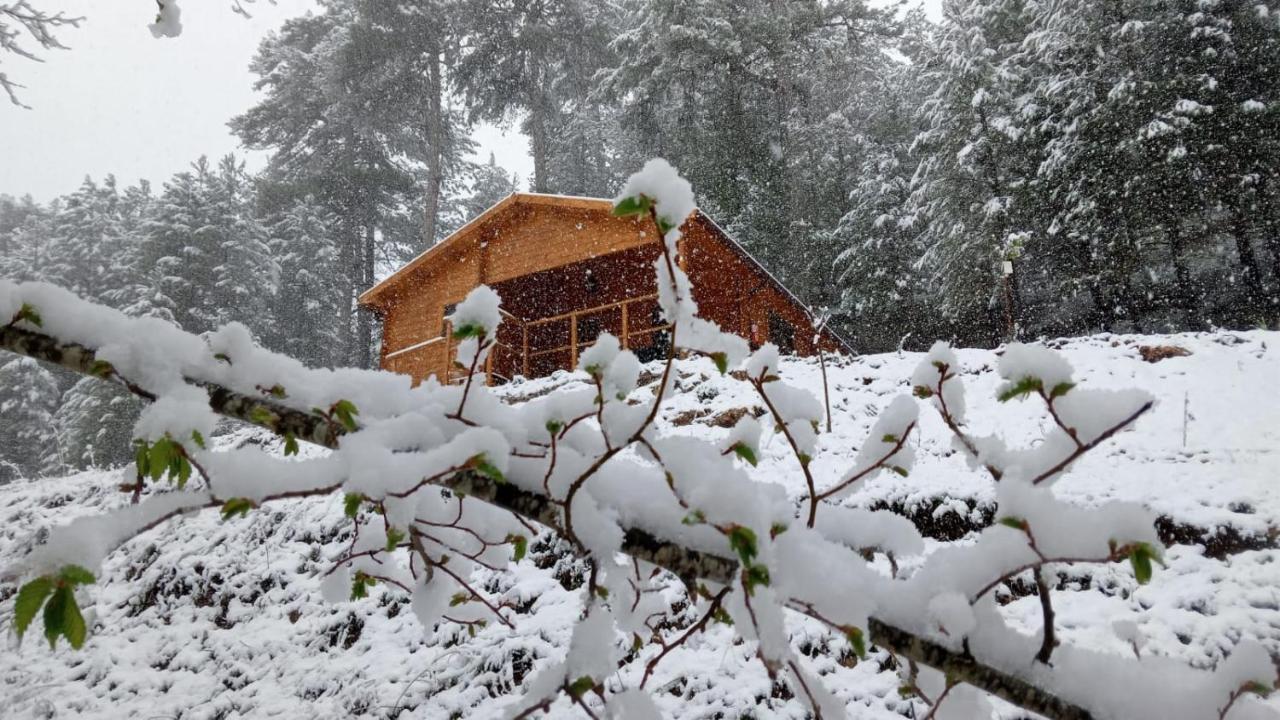 Cabana Garrote Gordo Segura de la Sierra Εξωτερικό φωτογραφία
